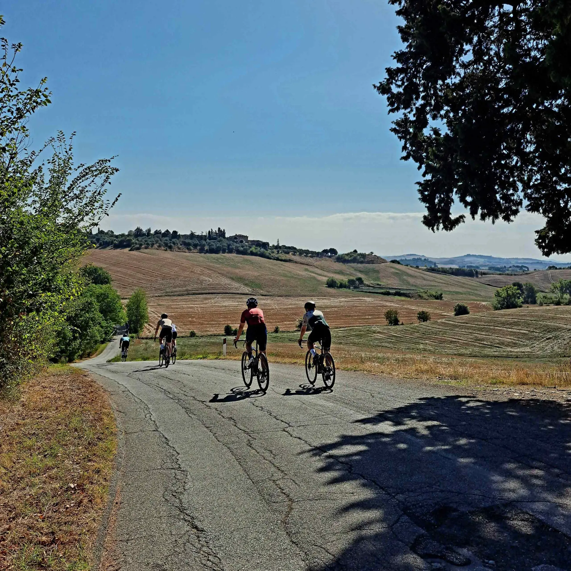 Vier fietsers op een landweg door afgeoogste Toscaanse velden