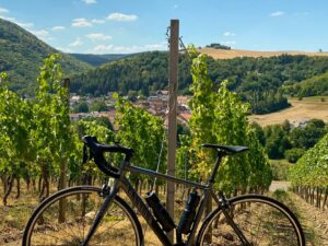 Elzas / Zwarte Woud - 2-persoonskamer