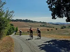 Vier fietsers op een smalle asfaltweg door goudgele Toscaanse heuvels