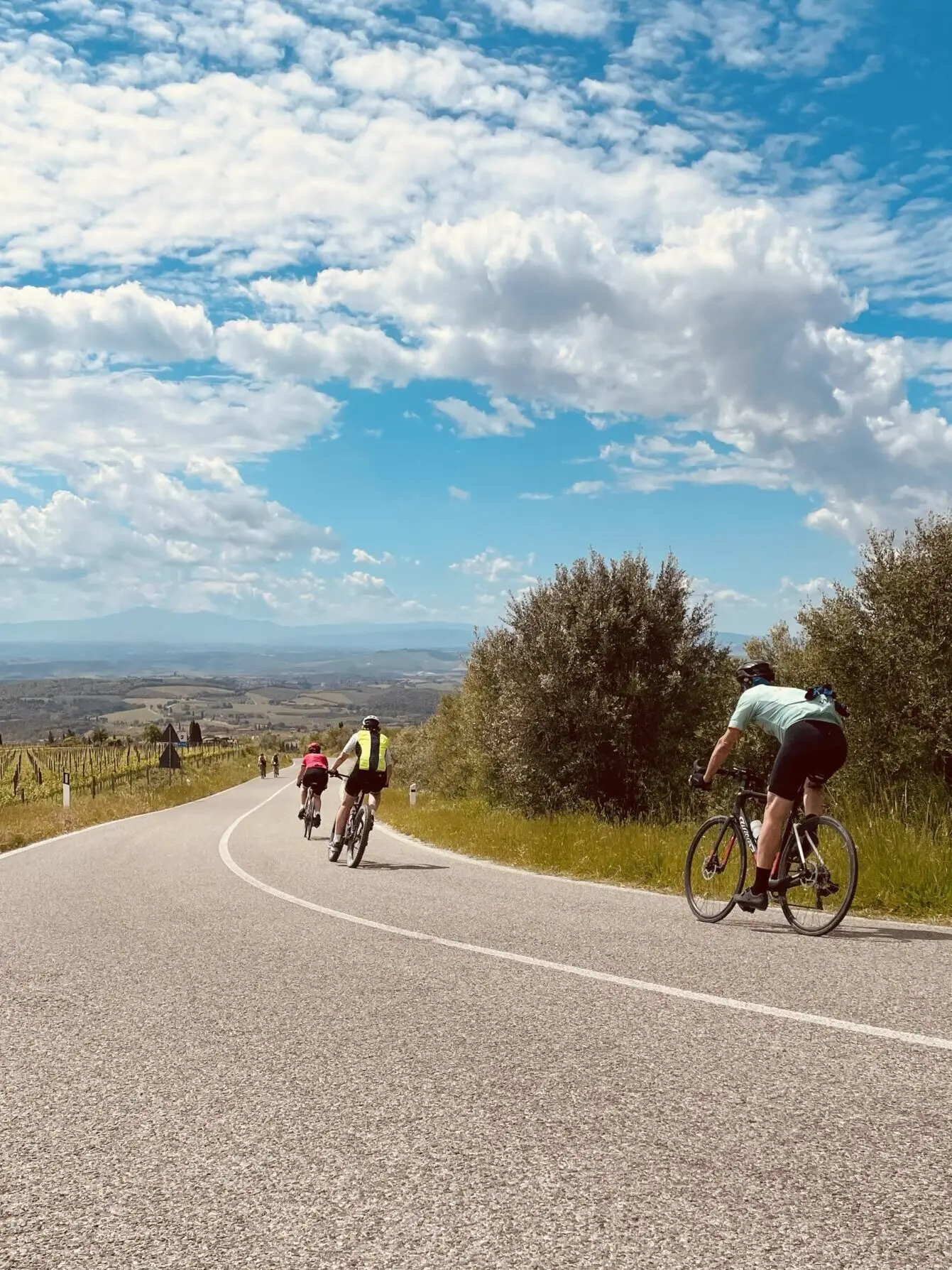 Fietsers op een brede weg langs wijngaarden onder hoge stapelwolken